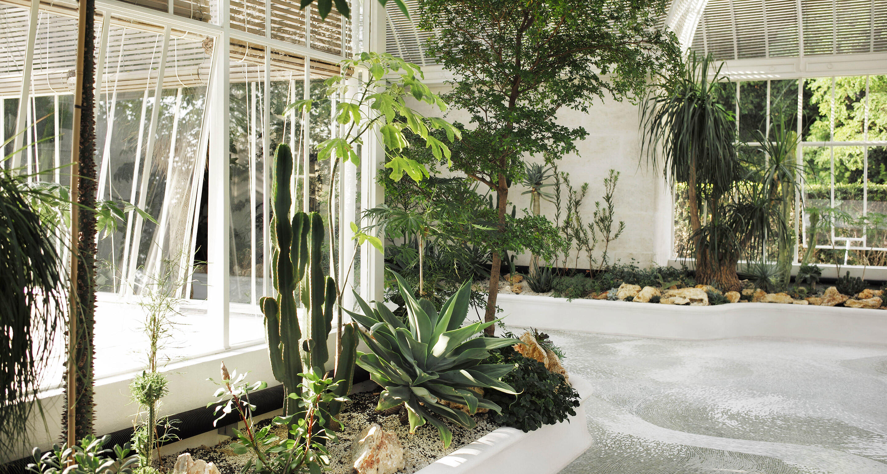 Hennessy’s Winter Garden 