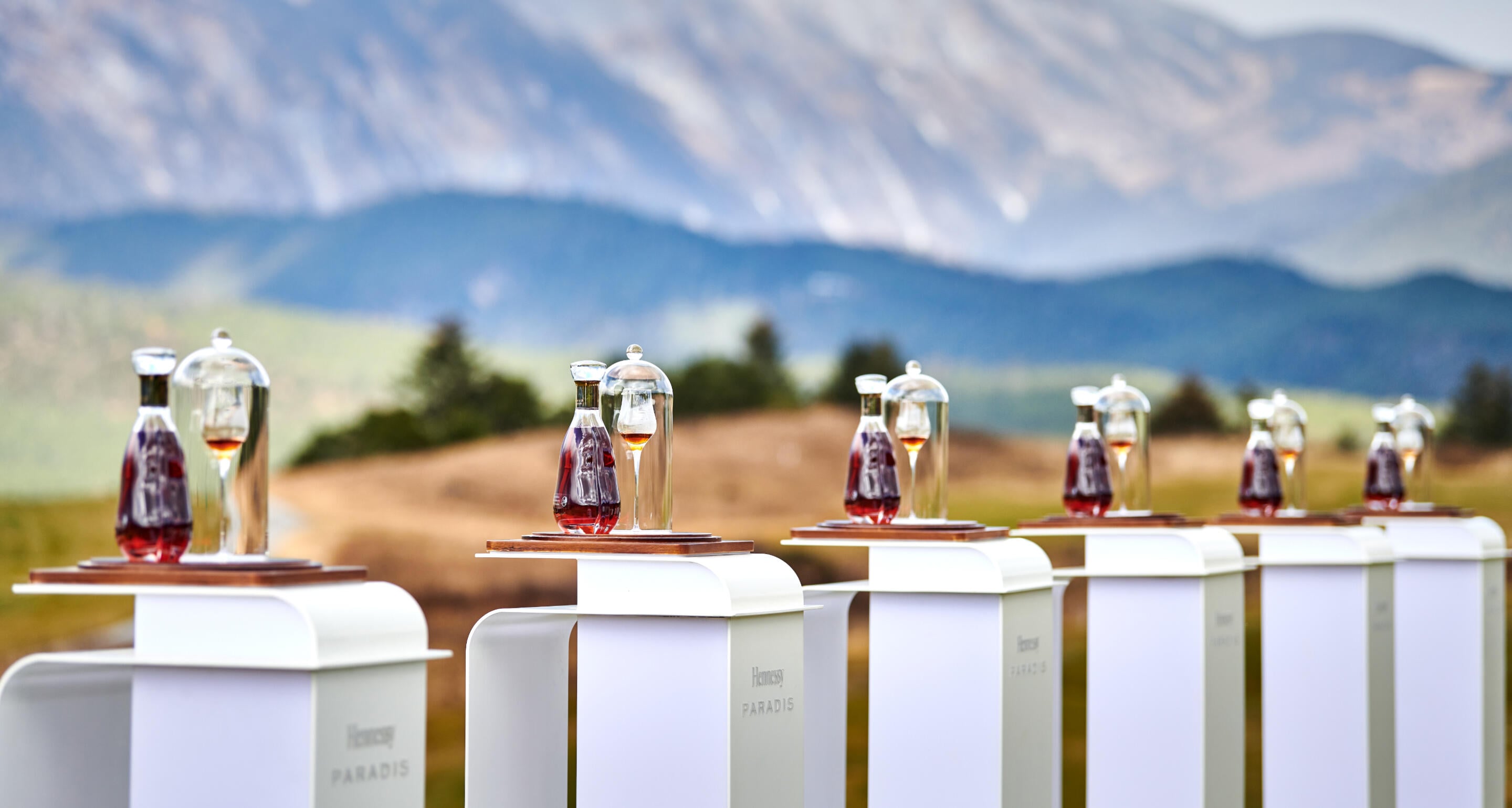 With Hennessy Paradis on new heights