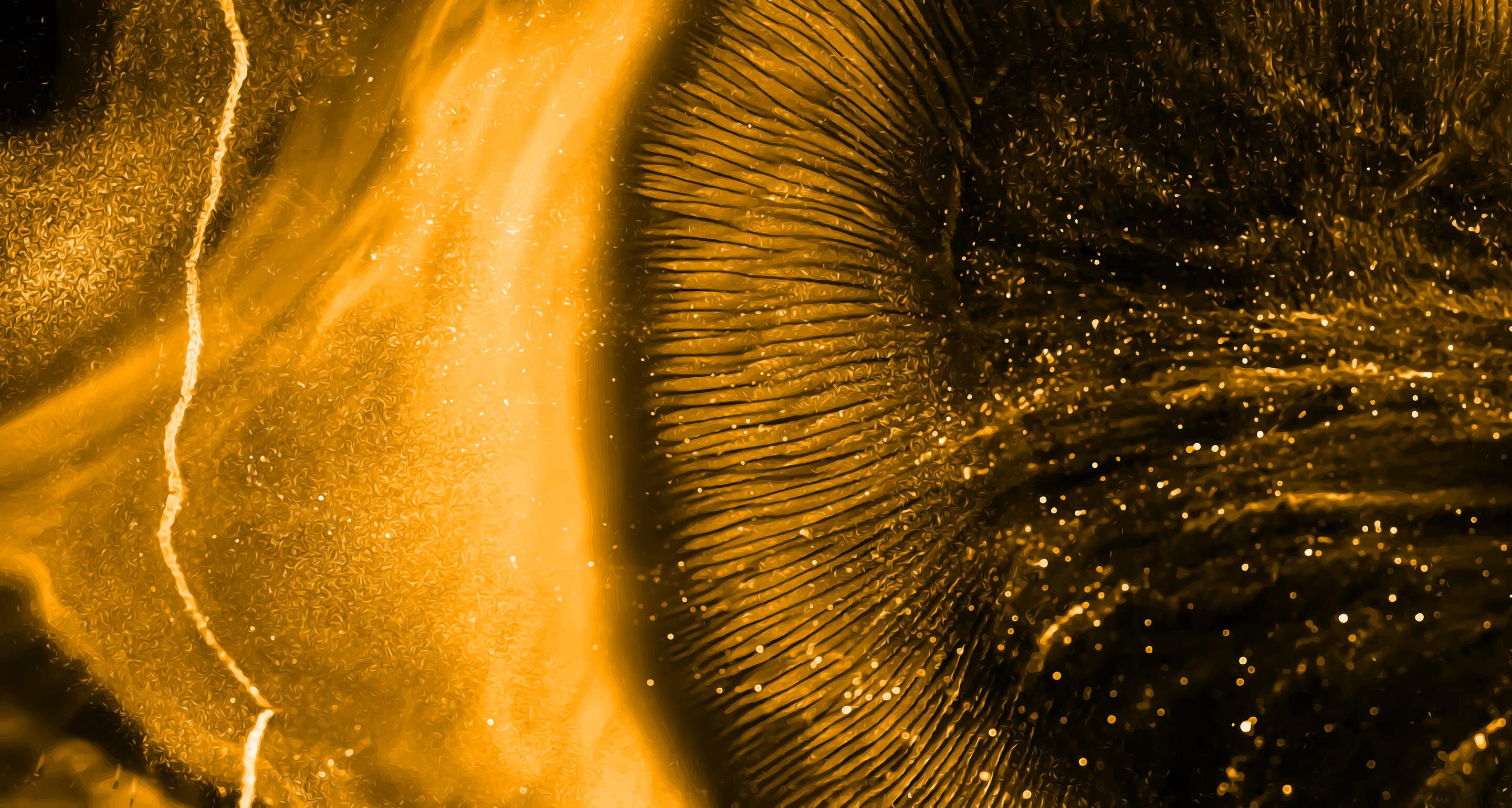 rh-tastingnote-3-landscape