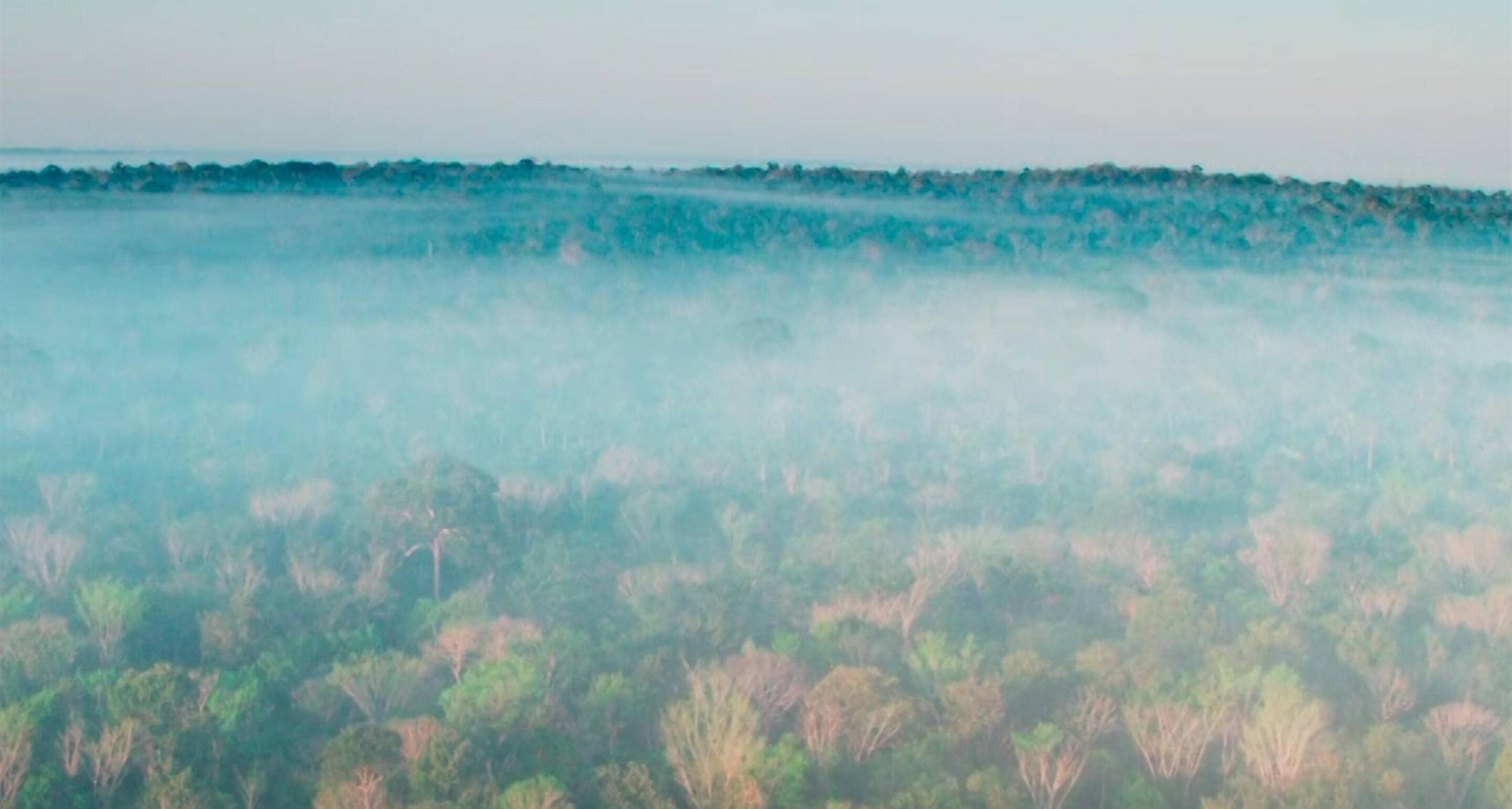 Hennessy x Antonio Nobre