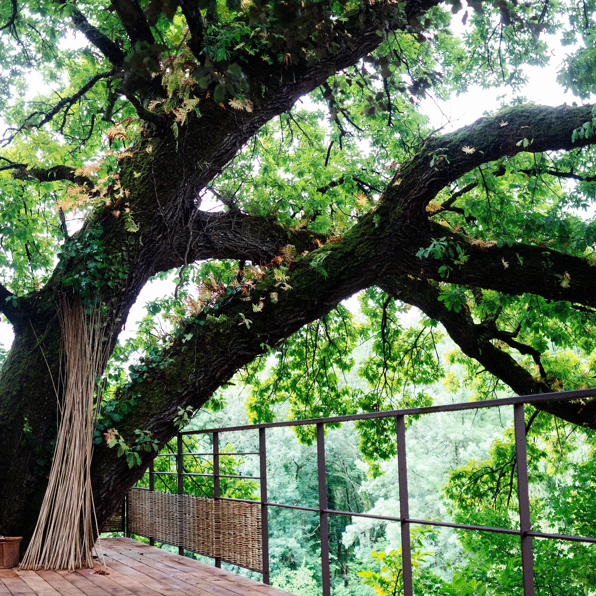 THE CHÂTEAU DE BAGNOLET GARDEN 