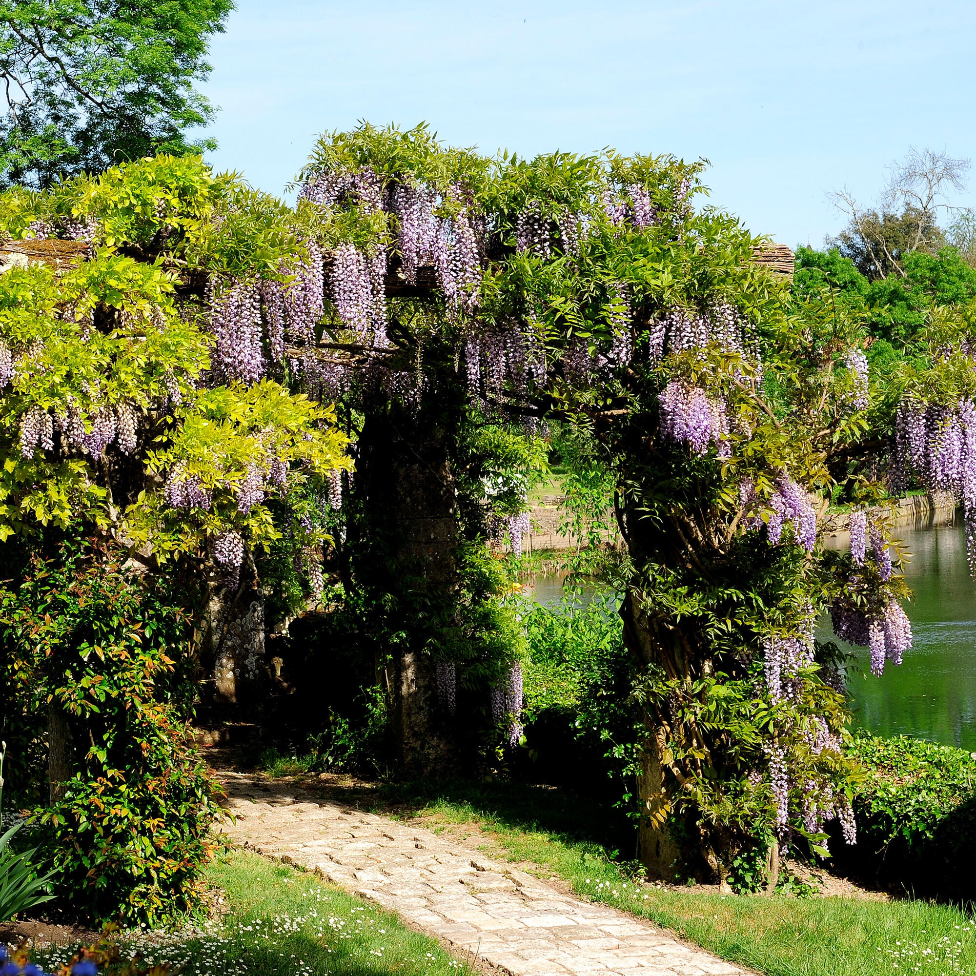 MASTERCLASS IN THE GARDEN