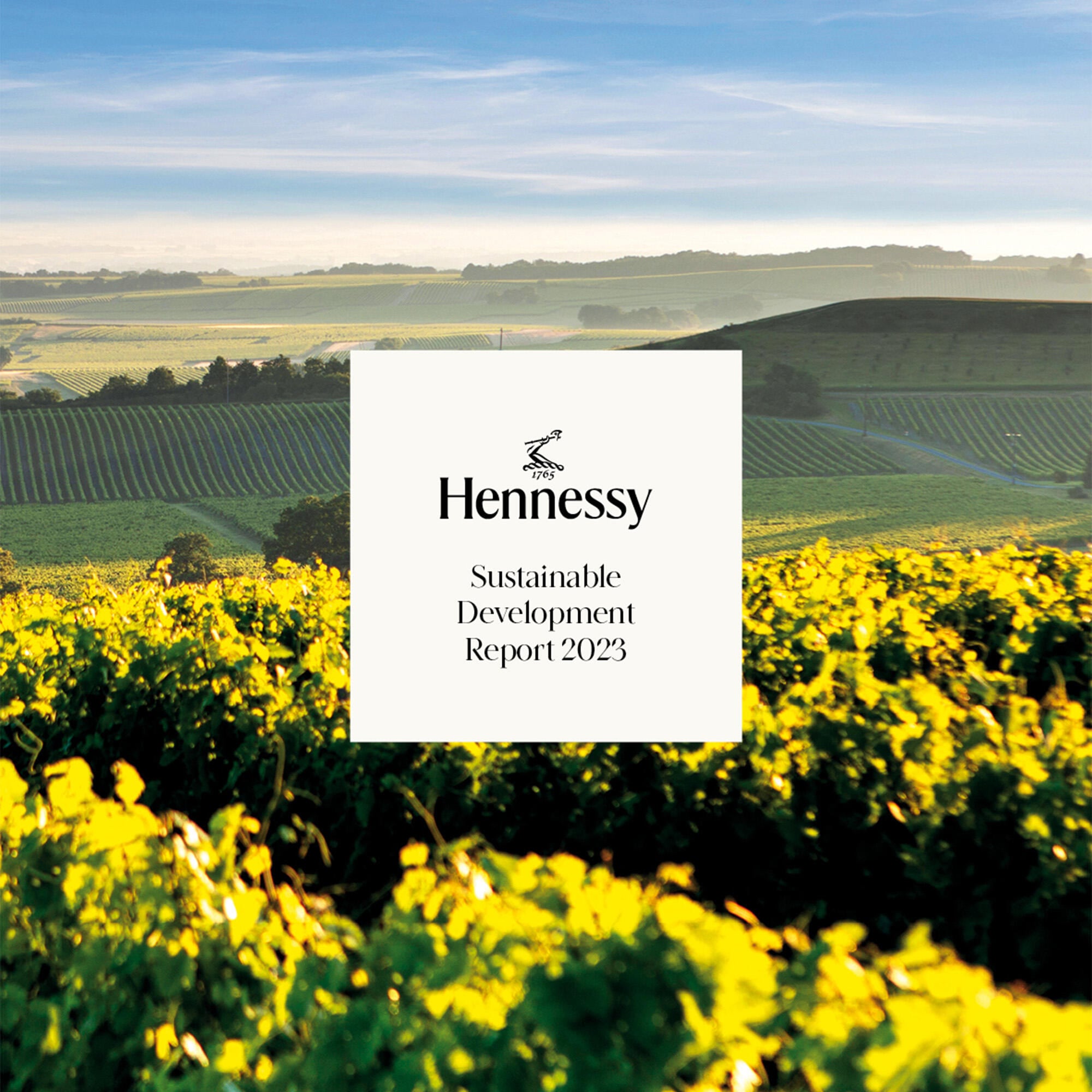 hennessy sustainability report 2023