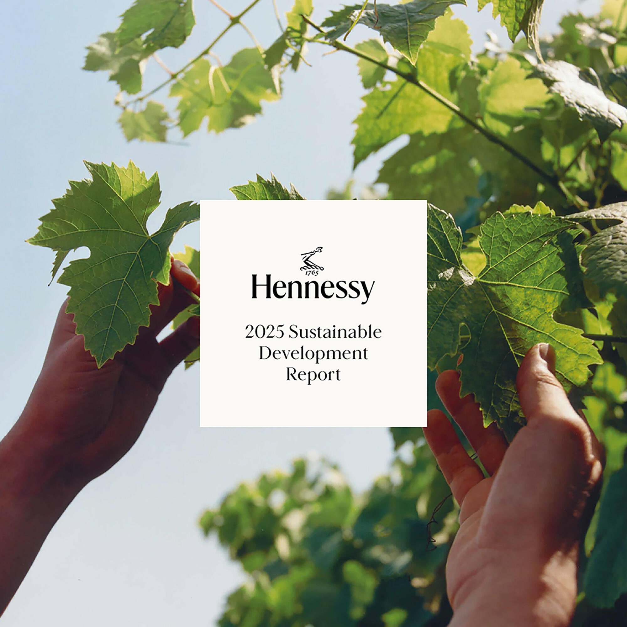 hennessy_rdd22025_uk-1.jpg